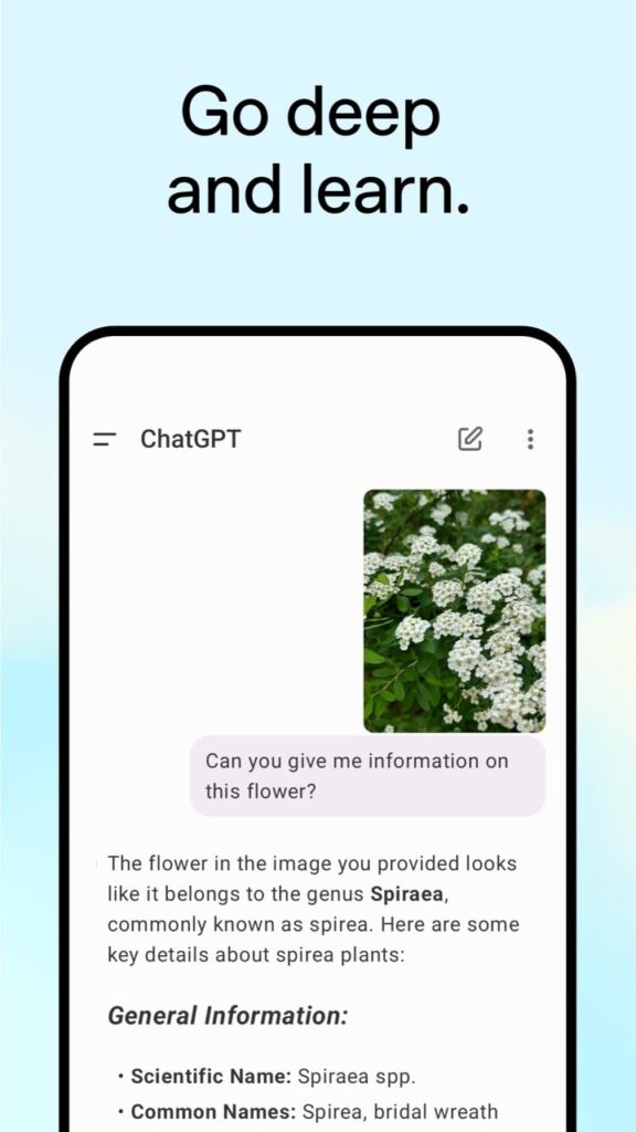 Get deep analysis with attach images and other files